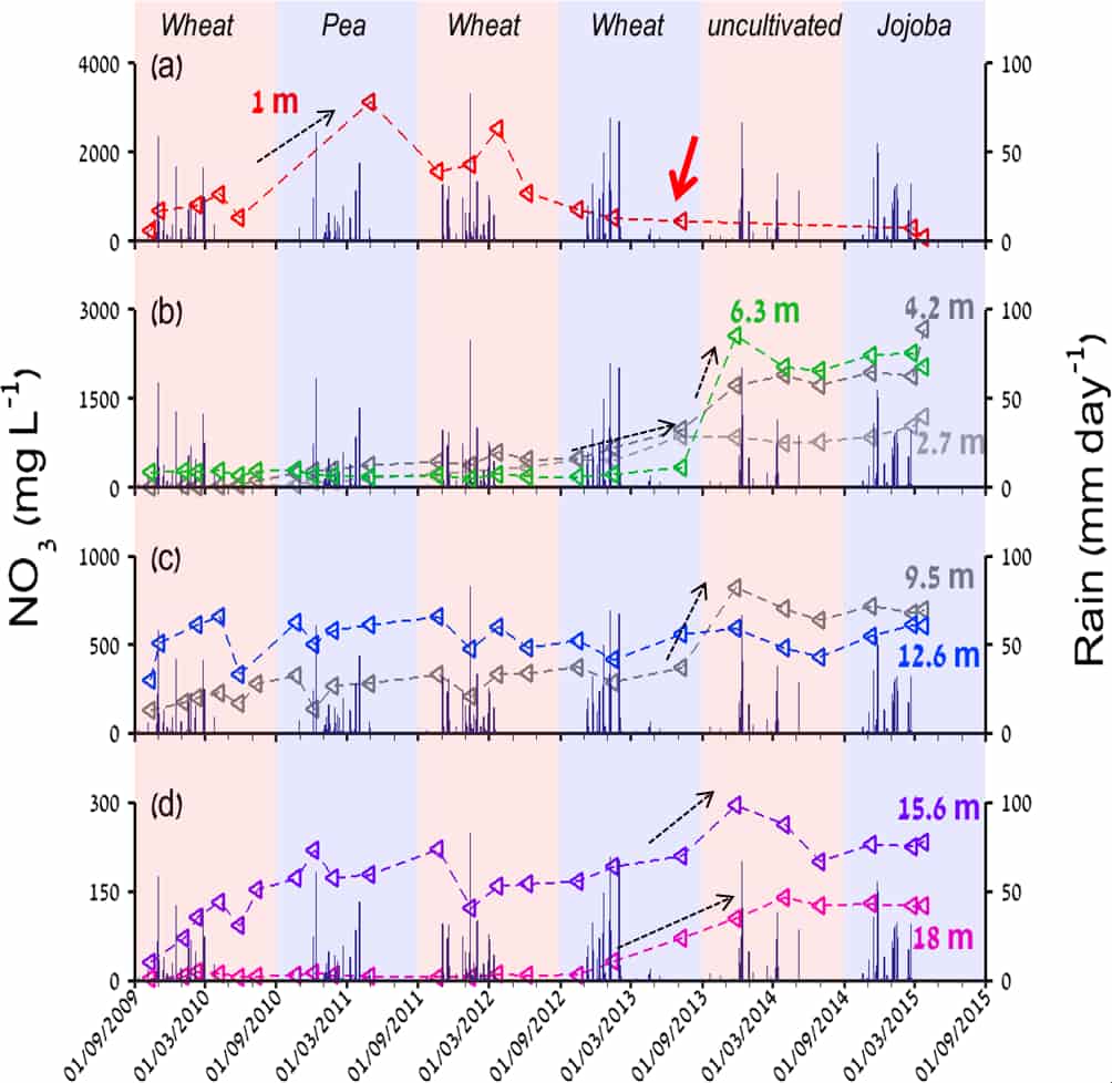 Time series of observed in nitrate (NO3-) concentrations in the vadose zone and daily rainfall for six consecutive years. 