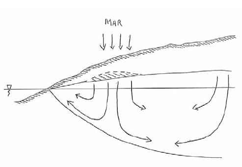 Scheme of expected effects from MAR injection